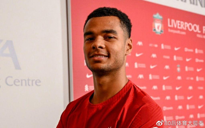 队的阵容实 队的阵容实