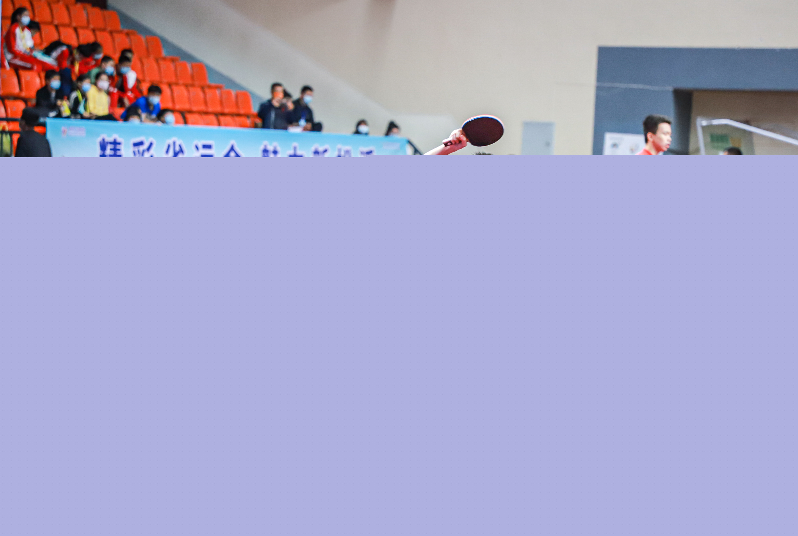 传统豪强的 传统豪强的