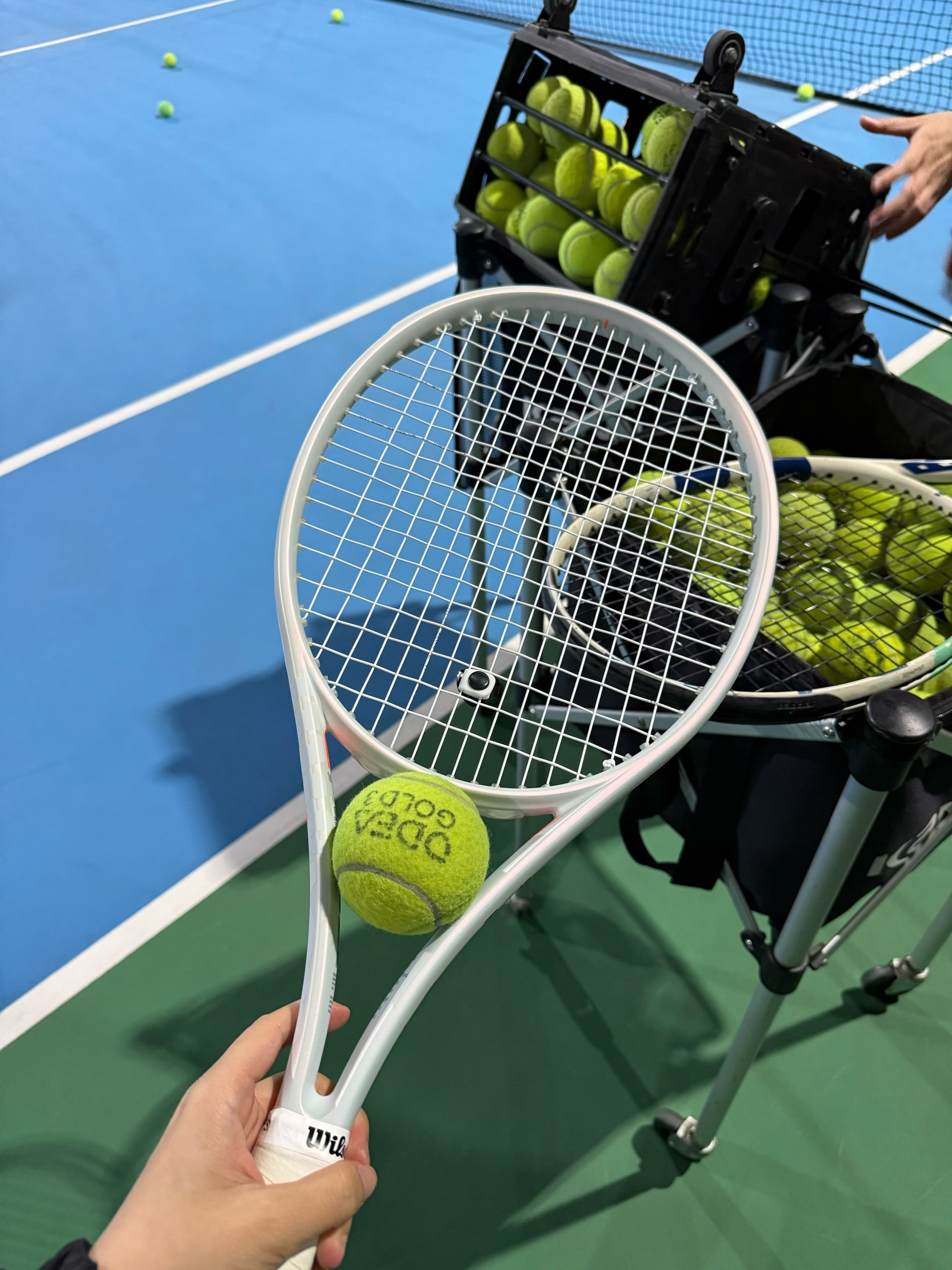 不可或缺的 不可或缺的