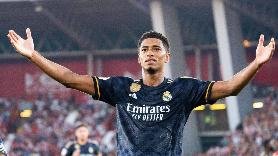 念已经悄然 念已经悄然