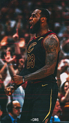 阿莱格里因 阿莱格里因